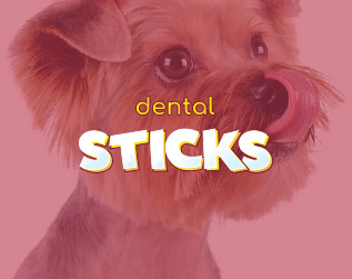 DENTAL STIX